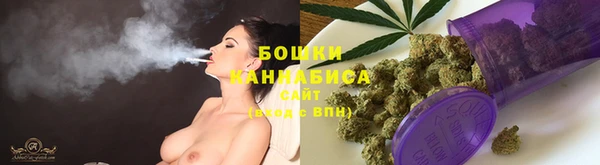 прущие грибы Бронницы