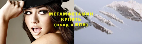 прущие грибы Бронницы
