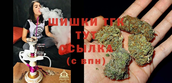 spice Богданович