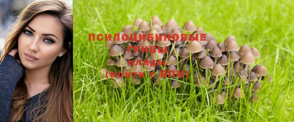 герыч Богородицк
