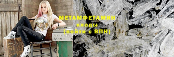 прущие грибы Бронницы