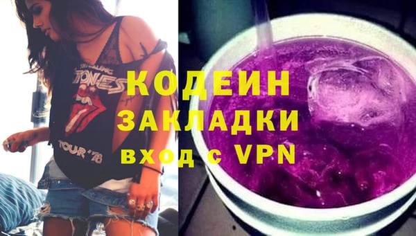 прущие грибы Бронницы