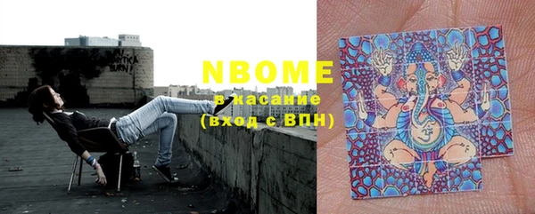прущие грибы Бронницы