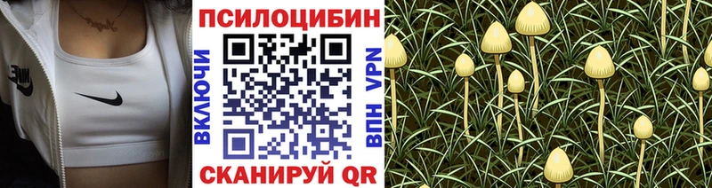 Галлюциногенные грибы Magic Shrooms  наркошоп  Махачкала 